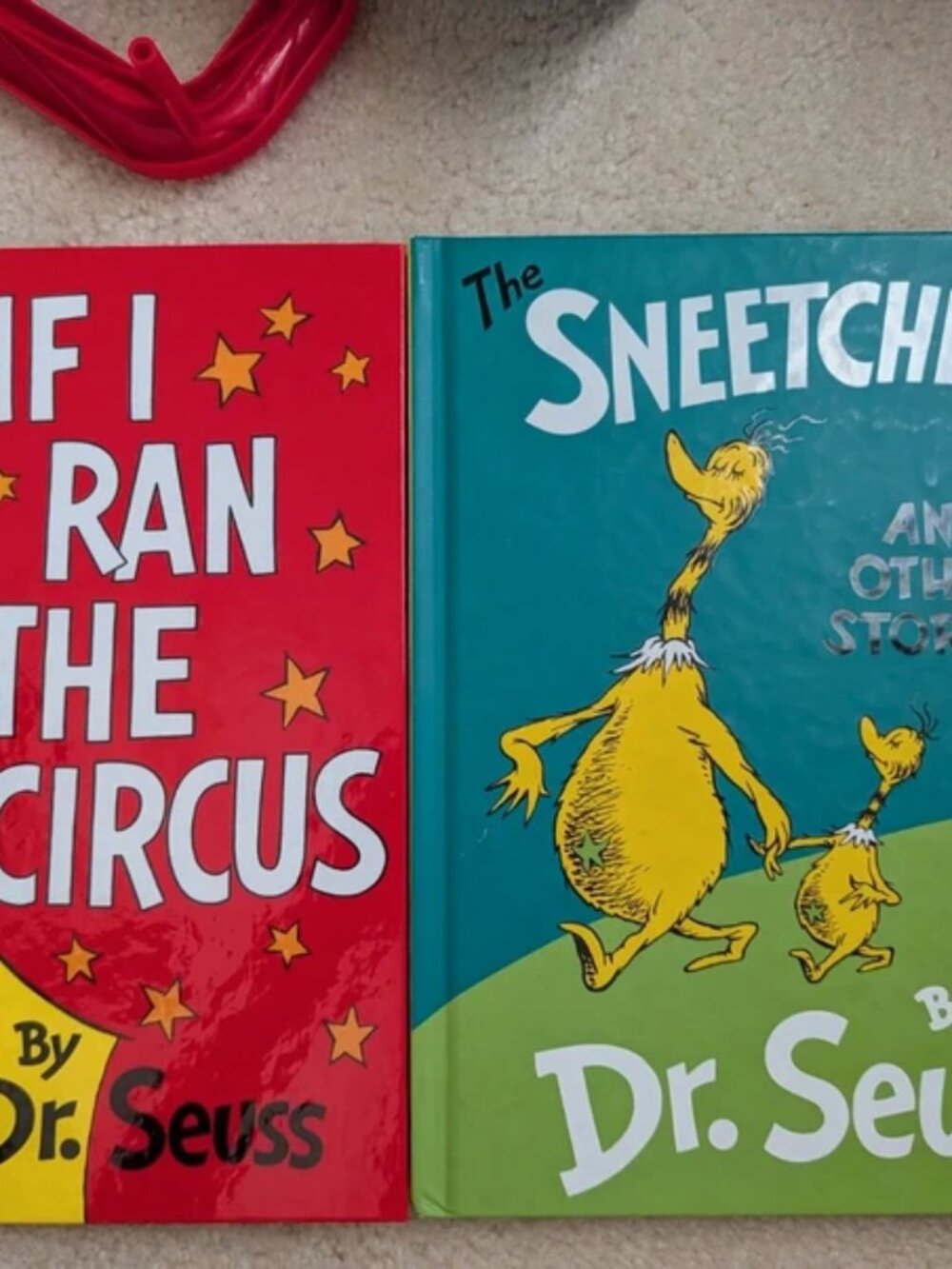Dr suess books sneetches and other stories if I ran the circus